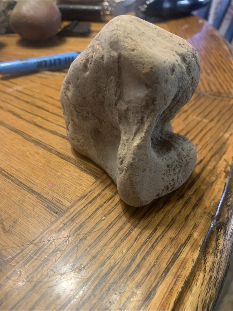 Fossils