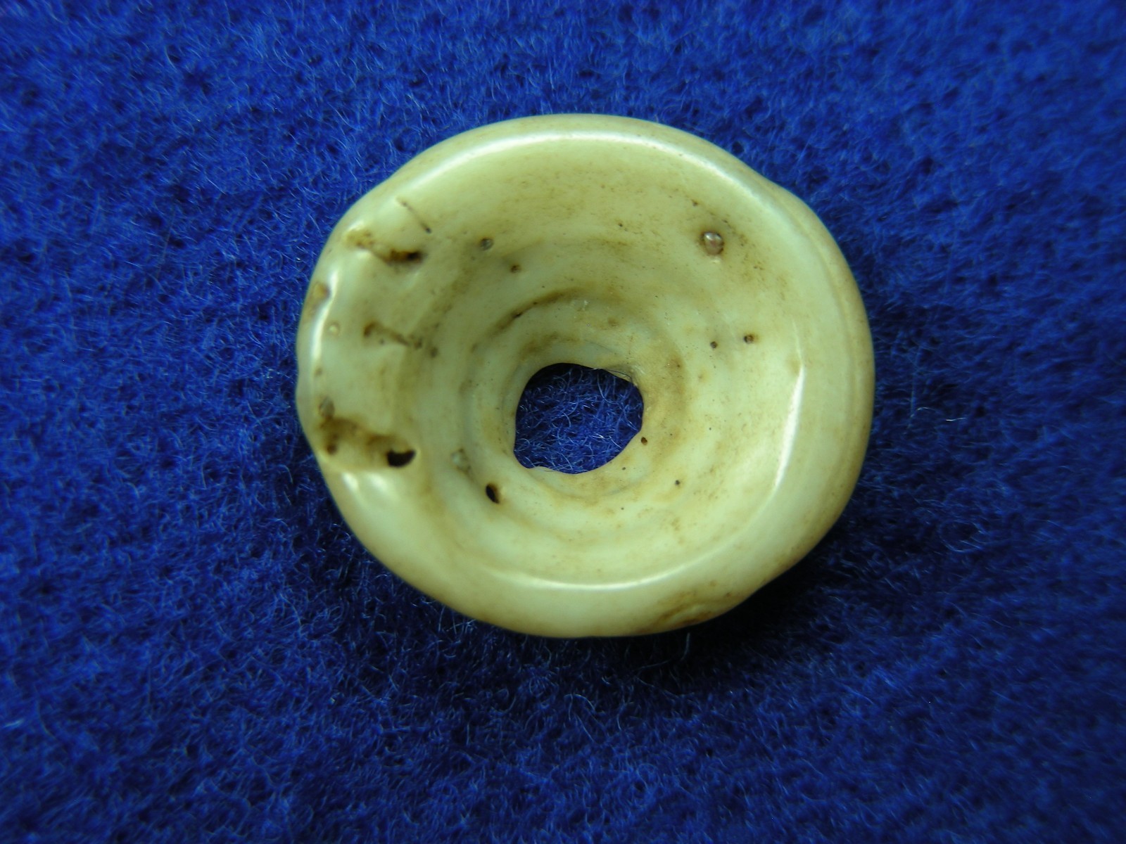 EXCELLENT DRILLED SHELL BEAD 11/16" TENNESSEE Authentic Indian Artifacts