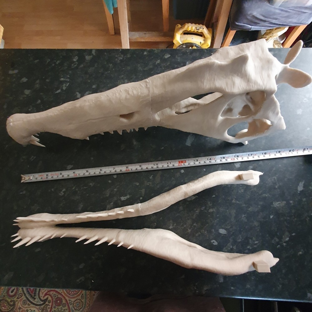 Spinosaurus Dinosaur Large Replica Skull