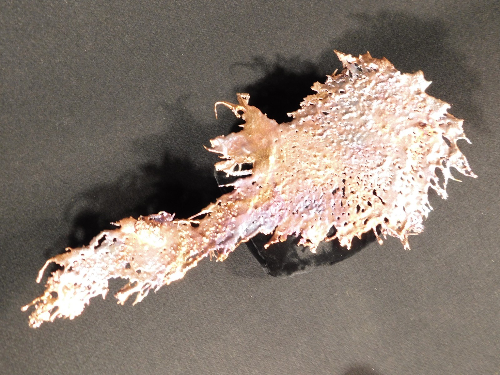 Big! Bright Solid Solid COPPER Splash ART Sculpture Arizona 189gr