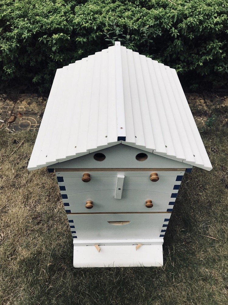 Big Auto Seep Beehive Honey Bee Hive Box Beekeeping Boxes + 7xPlastic Bee Frames