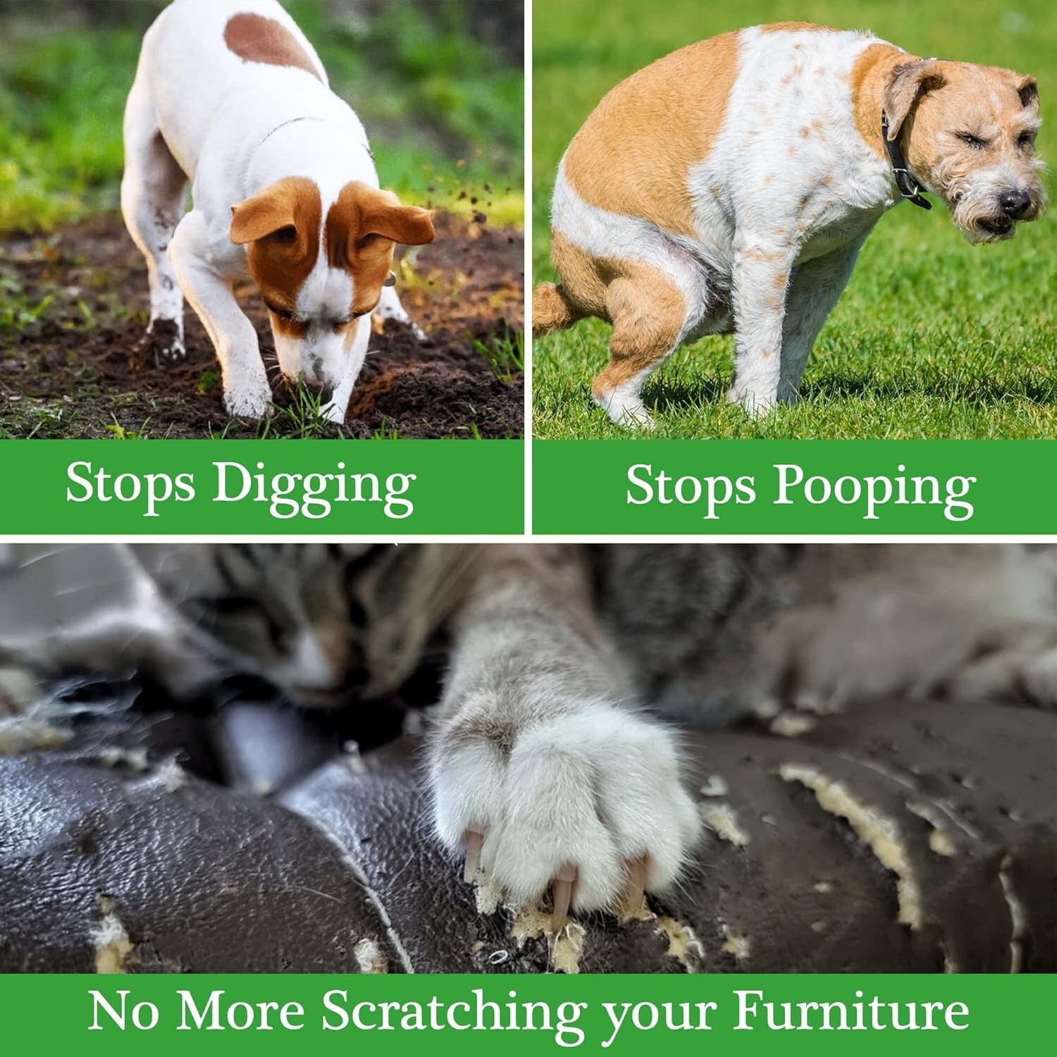 12 Pack Cat Repellent Outdoor Indoor, Cat & Dog Nature Repellents Peppermint Oil