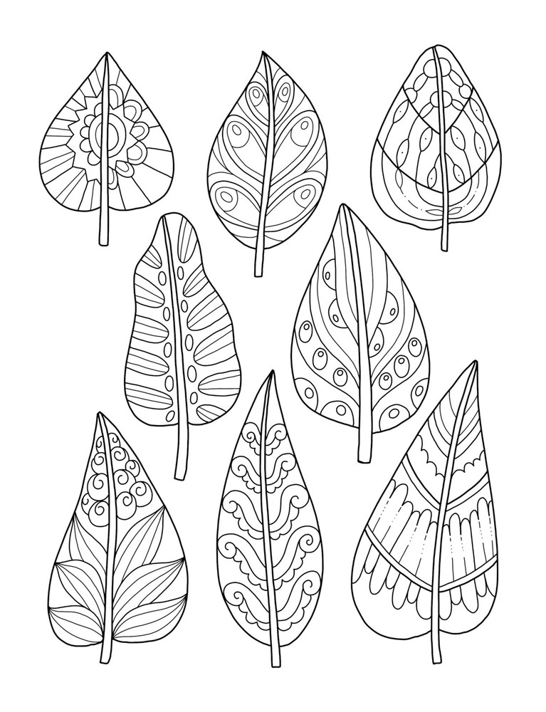 Mindfulness Patterns: Coloring Book with Creative Pattern Designs for Stress...
