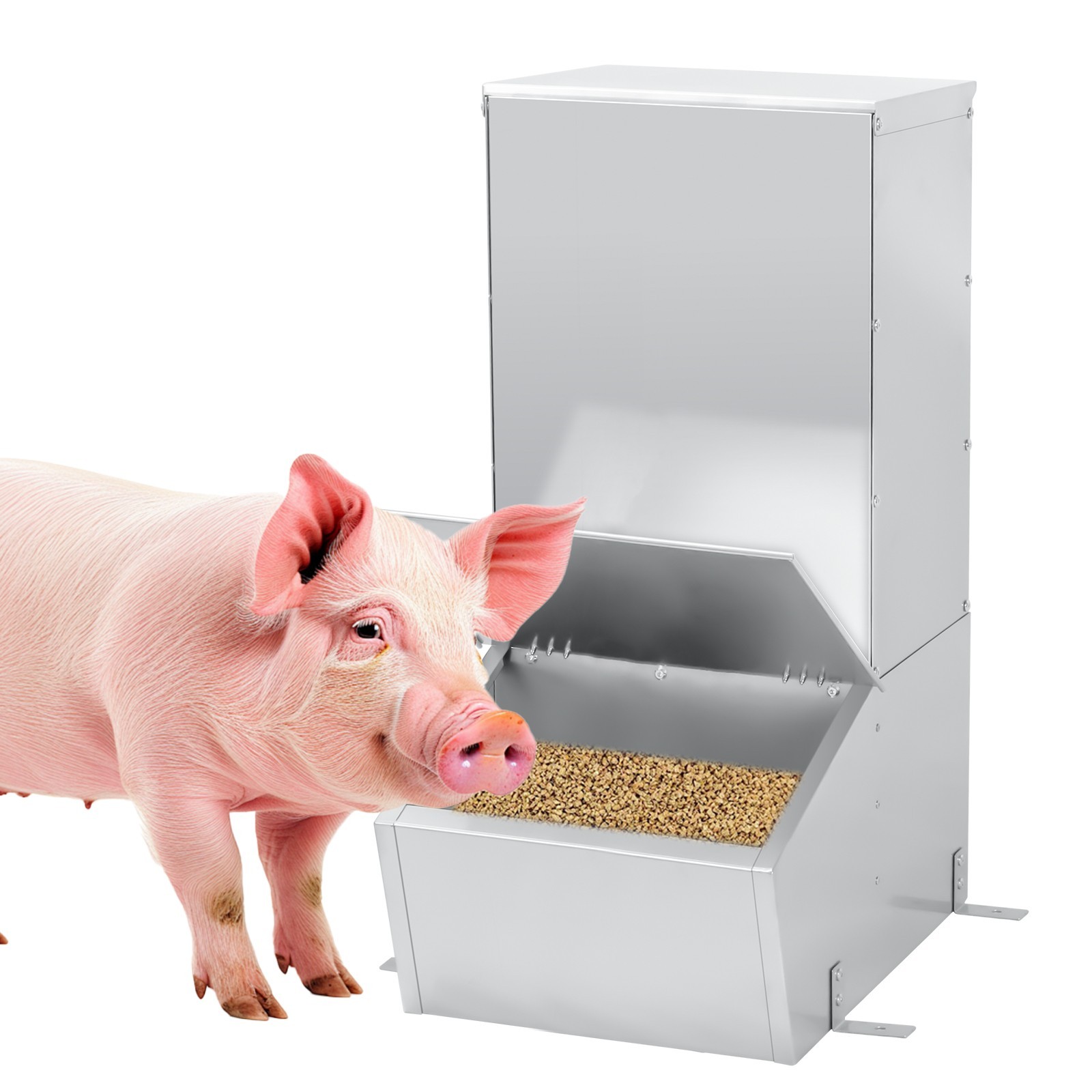 Hog Feeder,1.5 Bushel Single Door Automatic Pig Feeder,Pig Trough