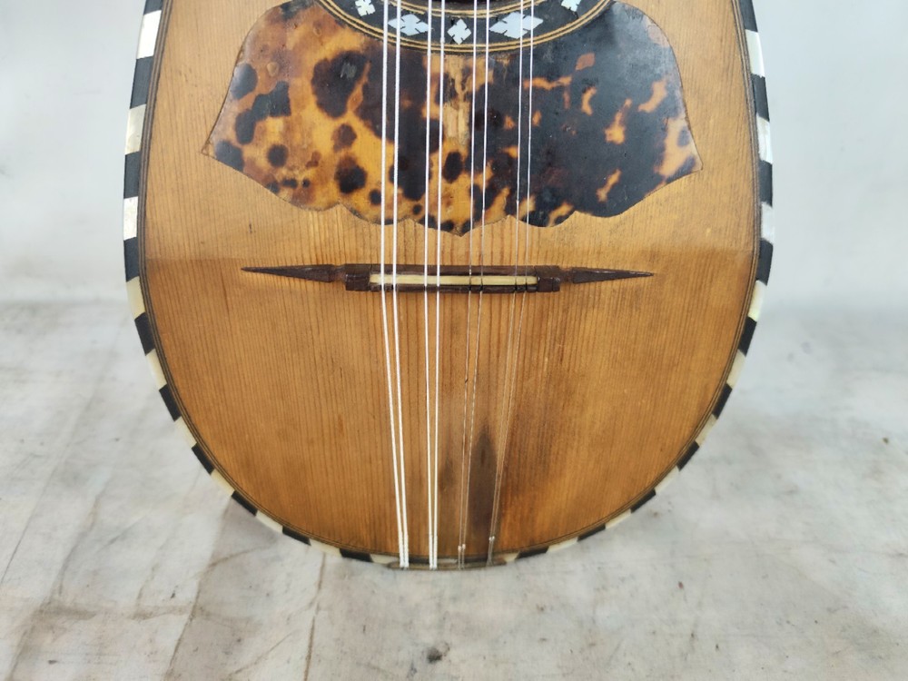 Mandolin 4/4 Ferdinando Lapini 1890 Naples 曼陀林 만돌린マンドリン