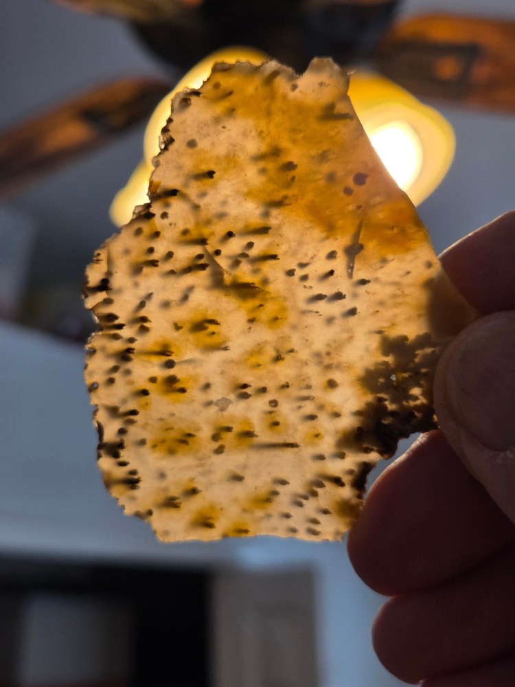 Agatized Palm Slab