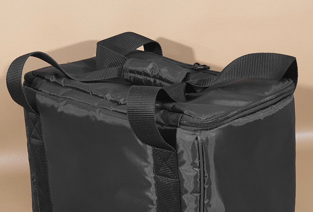 Custom padded BAG for Positive Grid Spark EDGE smart amp