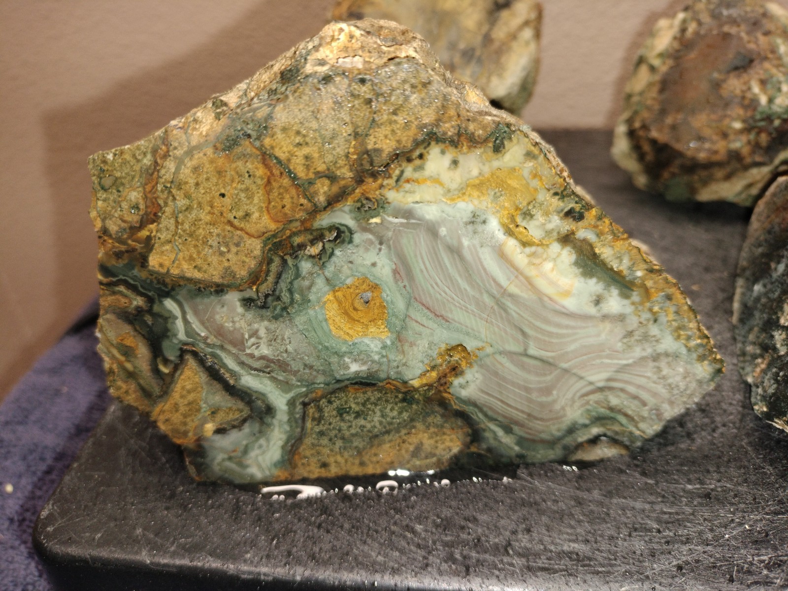 6.2LB ORBS Blue Mountain Picture of Jasper Rough 4pc Lot #23