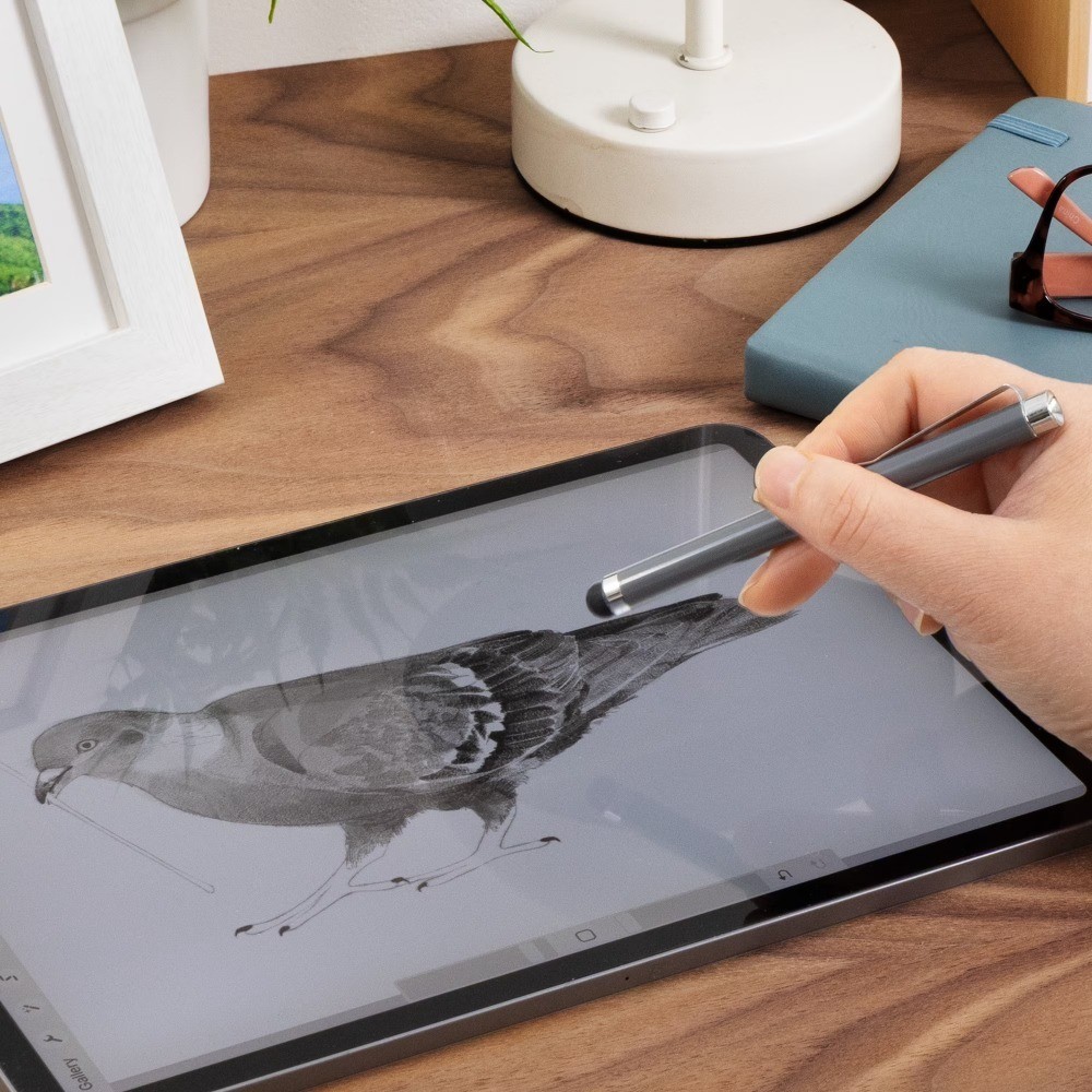 Stylus Set, 10 Pack, Assorted Colors