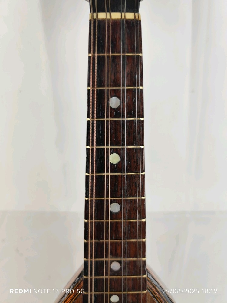 Mandolin 4/4 Miruni Nicolò 1932 Catania 曼陀林 만돌린マンドリン