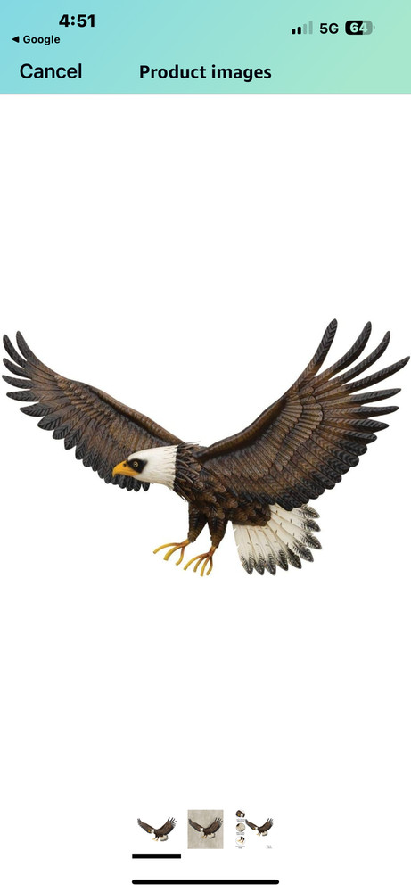 Mighty American Eagle Wall decor