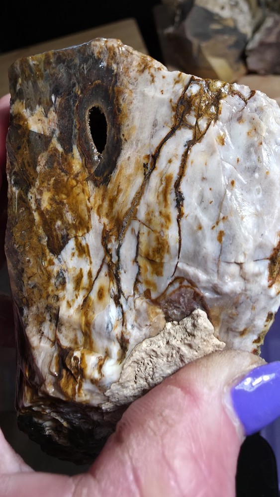 agatized petrified wood 3pc. Lot