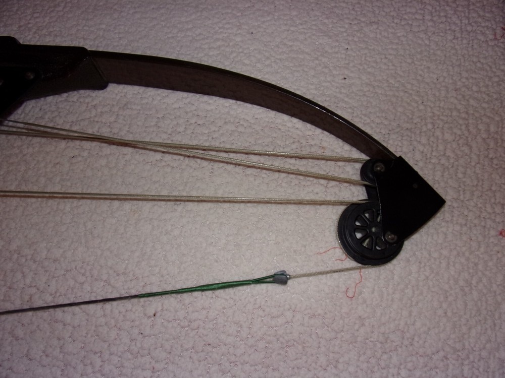 Bear Archery Whitetail Hunter Compound Bow