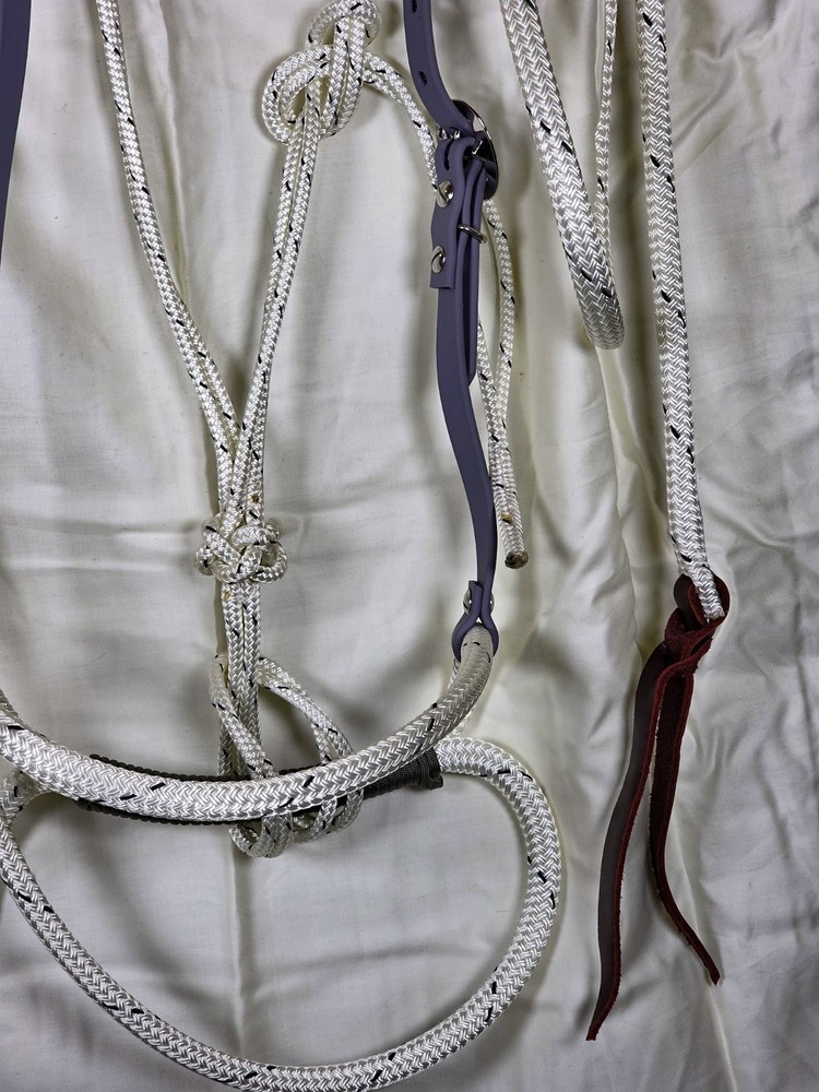 Soft Nose Loping Bridle