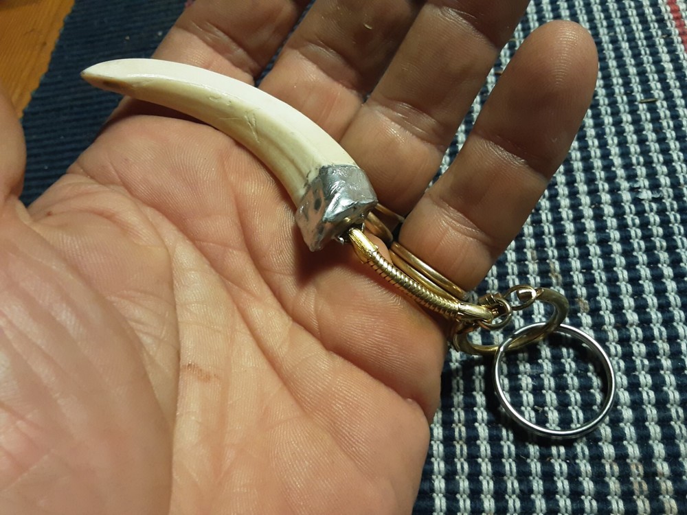LOWER CANINE BOAR KEYCHAIN