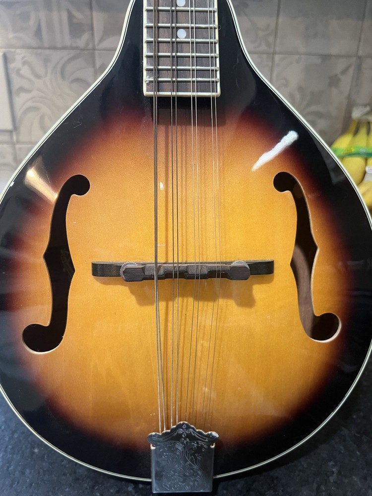 Rogue fine instuments Mandolin