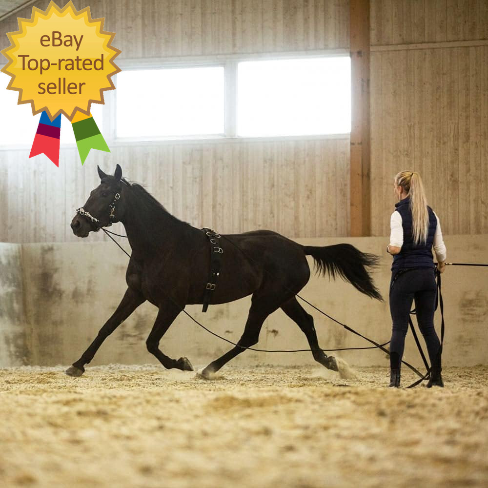 Lunging Surcingle for Horses Nylon Roller for Training