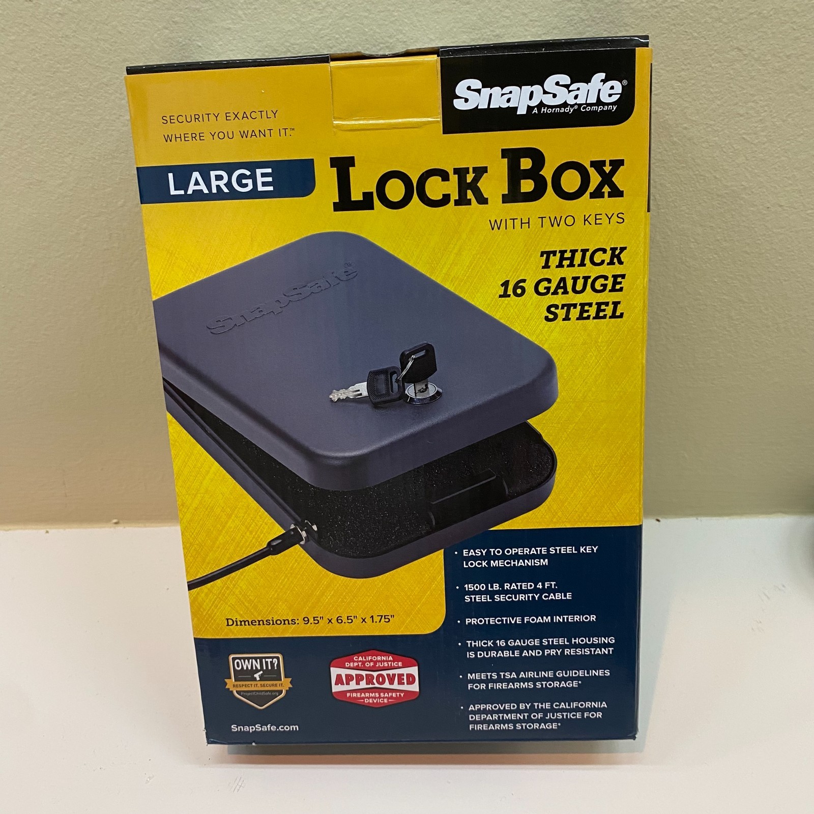 SnapSafe Large Lock Box 🔒 16-Gauge Steel Safe w/ Keys & Cable • TSA Approved