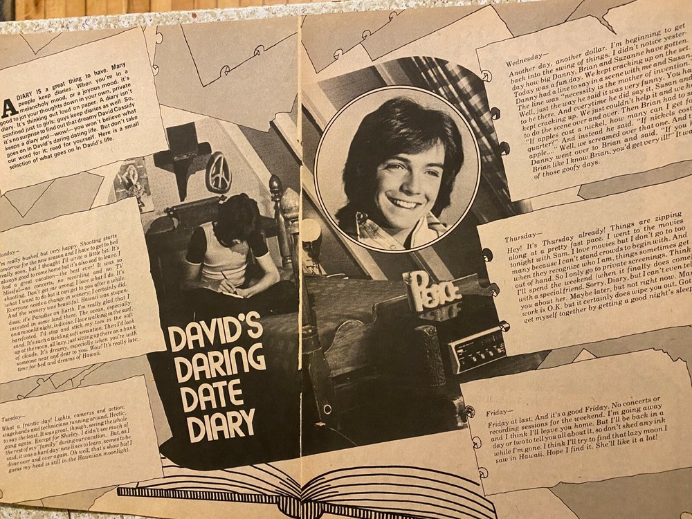 David Cassidy, Two Page Vintage Clipping