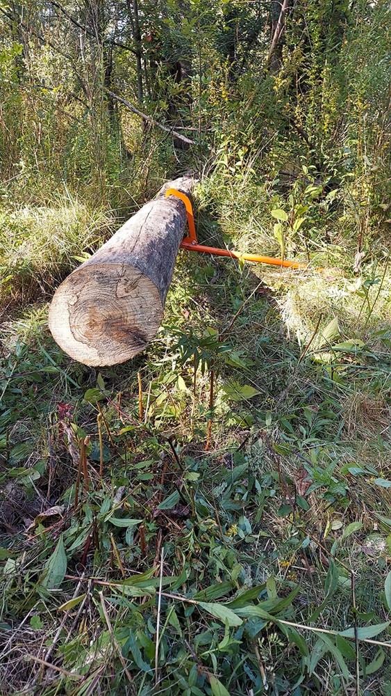 Adjustable Timberjack Log Jack 50.9" - Ergonomic, Durable & Rust-Resistant