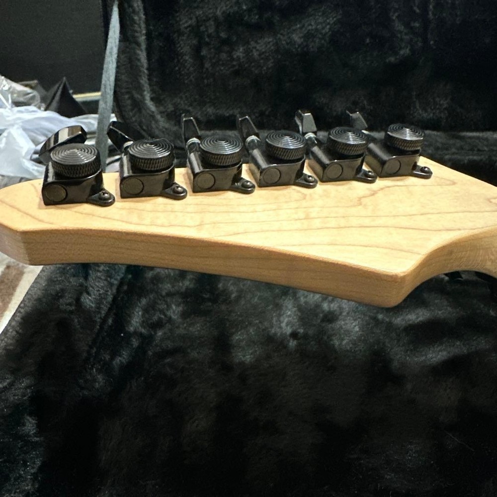 Futra/Mr. Nishio collaboration model, many customizations