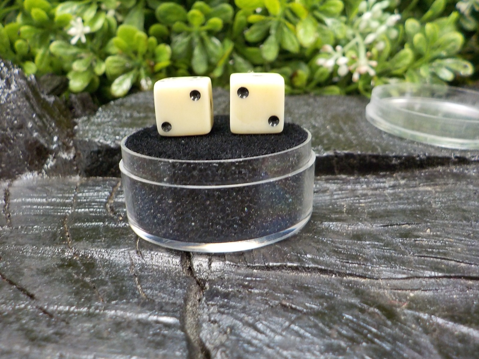 Old Rare Vintage Antique Civil War Relic Bone Dice Extremely Rare with Free Case