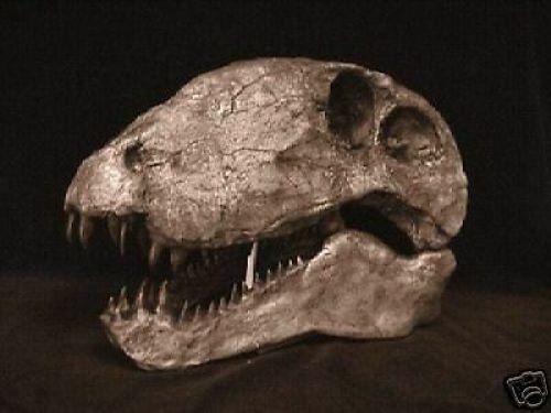 DIMETRODON  SKULL  REPLICA