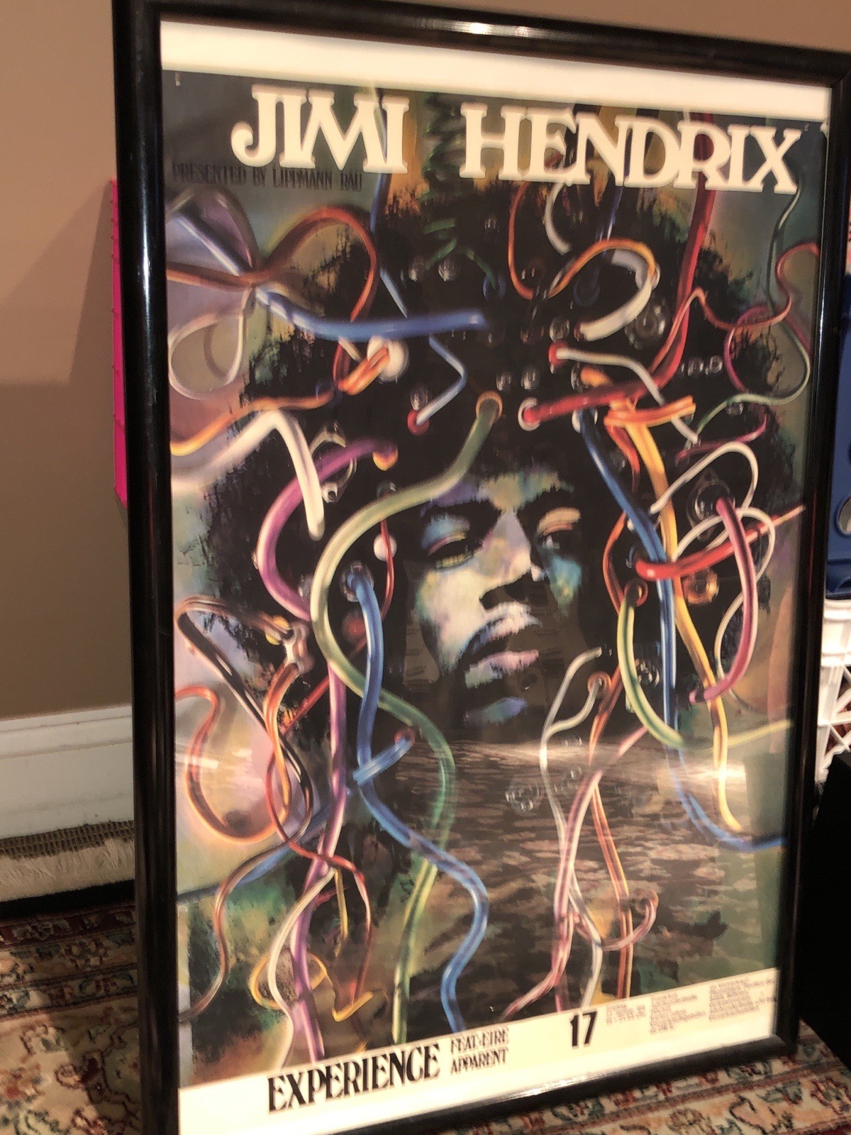 Jimi Hendrix - Presented by Lippmann + Rau - German Concert Poster Litho NICE!
