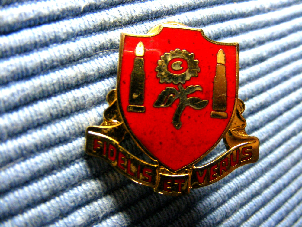 29th Field Artillery Unit Crest