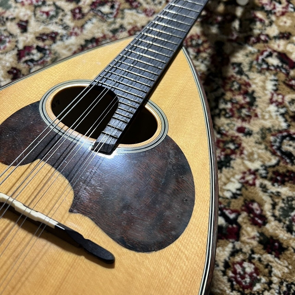 Suzuki M-30 [Mandolin]