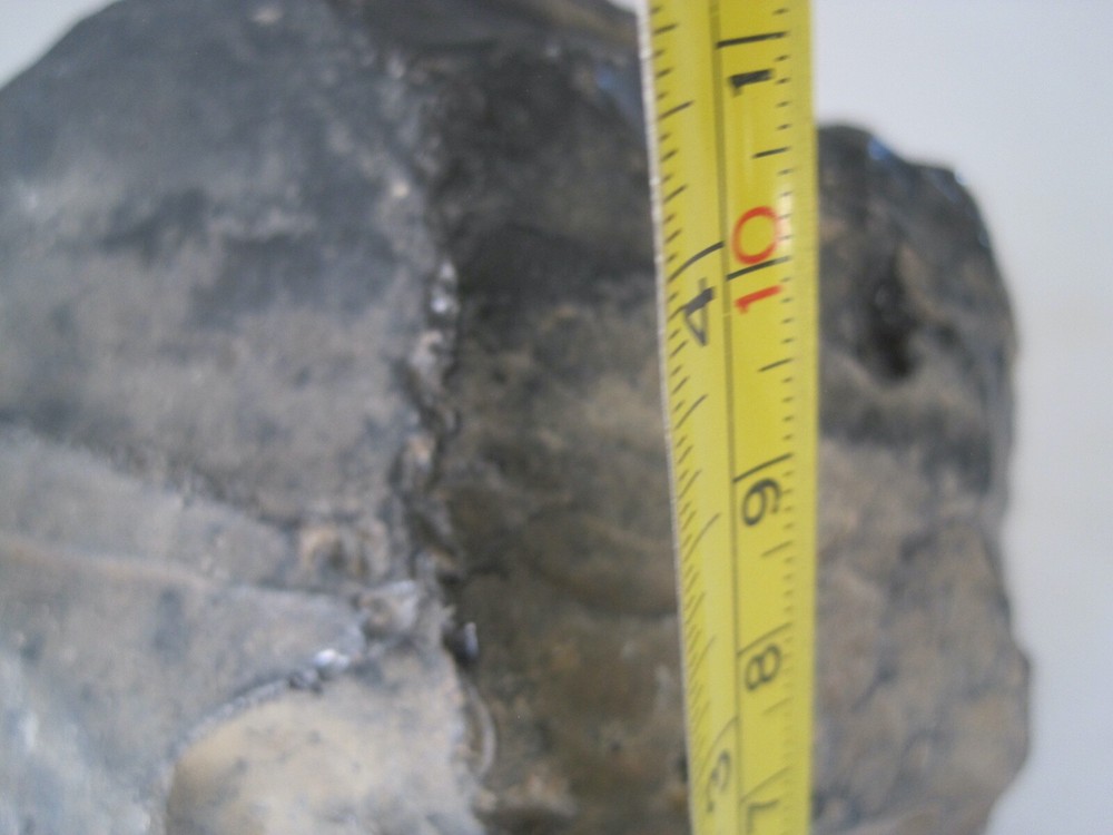 Black Obsidian Rock Large 2.8 lbs