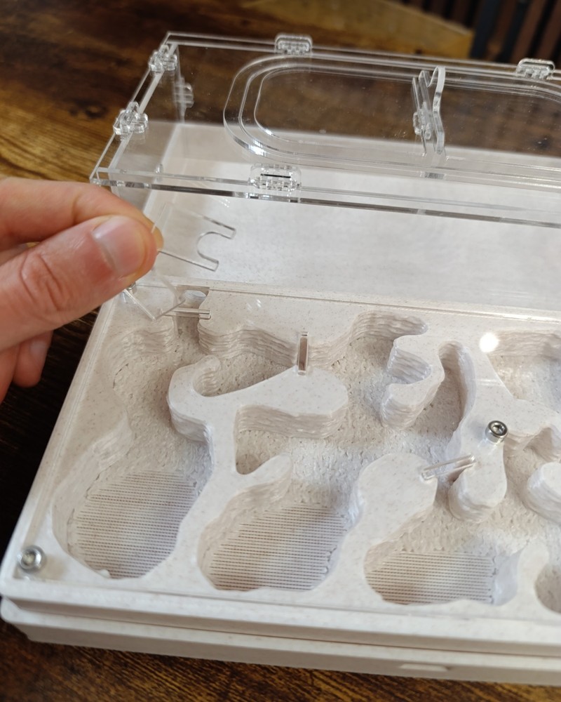 Ant farm " "Easy Start PLUS"