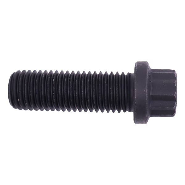 205584 Twelve-Point Cap Screw