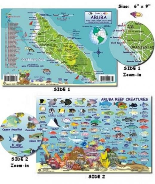 Franko Maps - Aruba Reef Fish ID