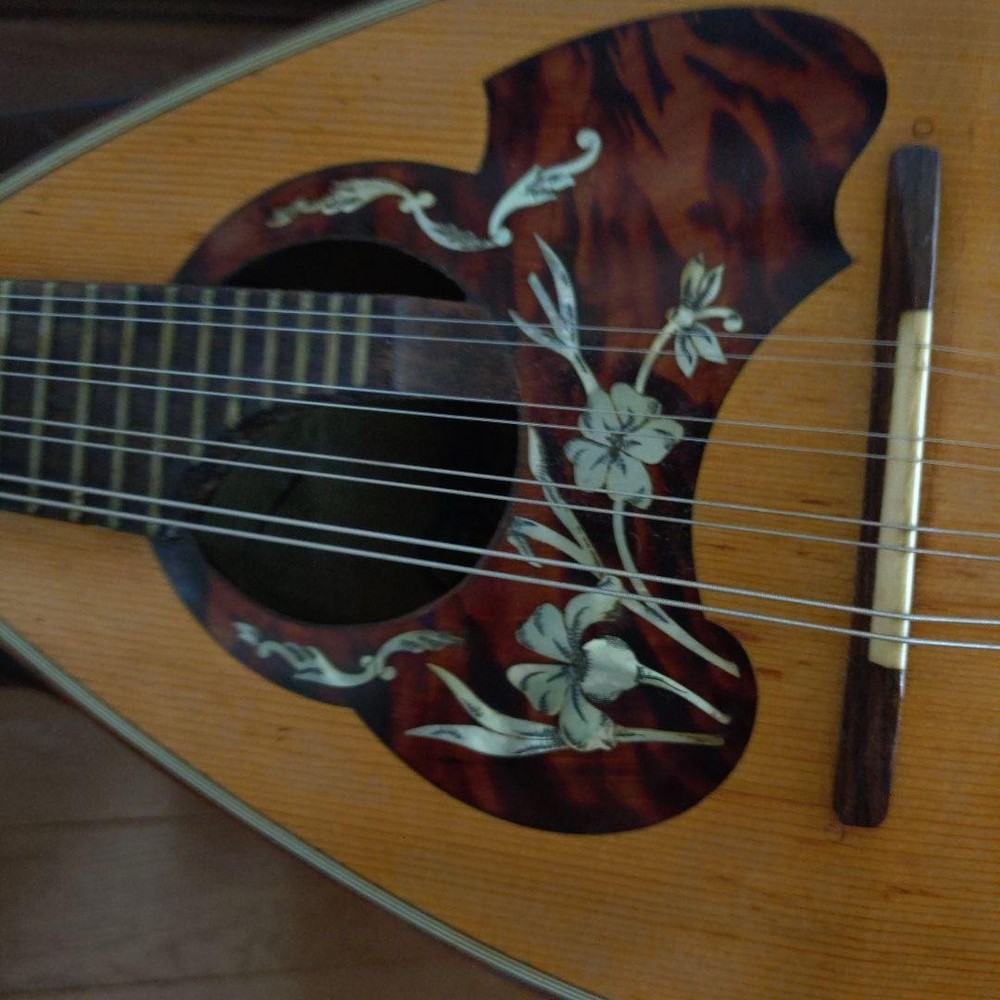 Colored Chemandolin 8 strings