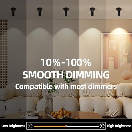 5CCT LED Ceiling Spotlight Dimmable Ceiling Light Directional 12W Black