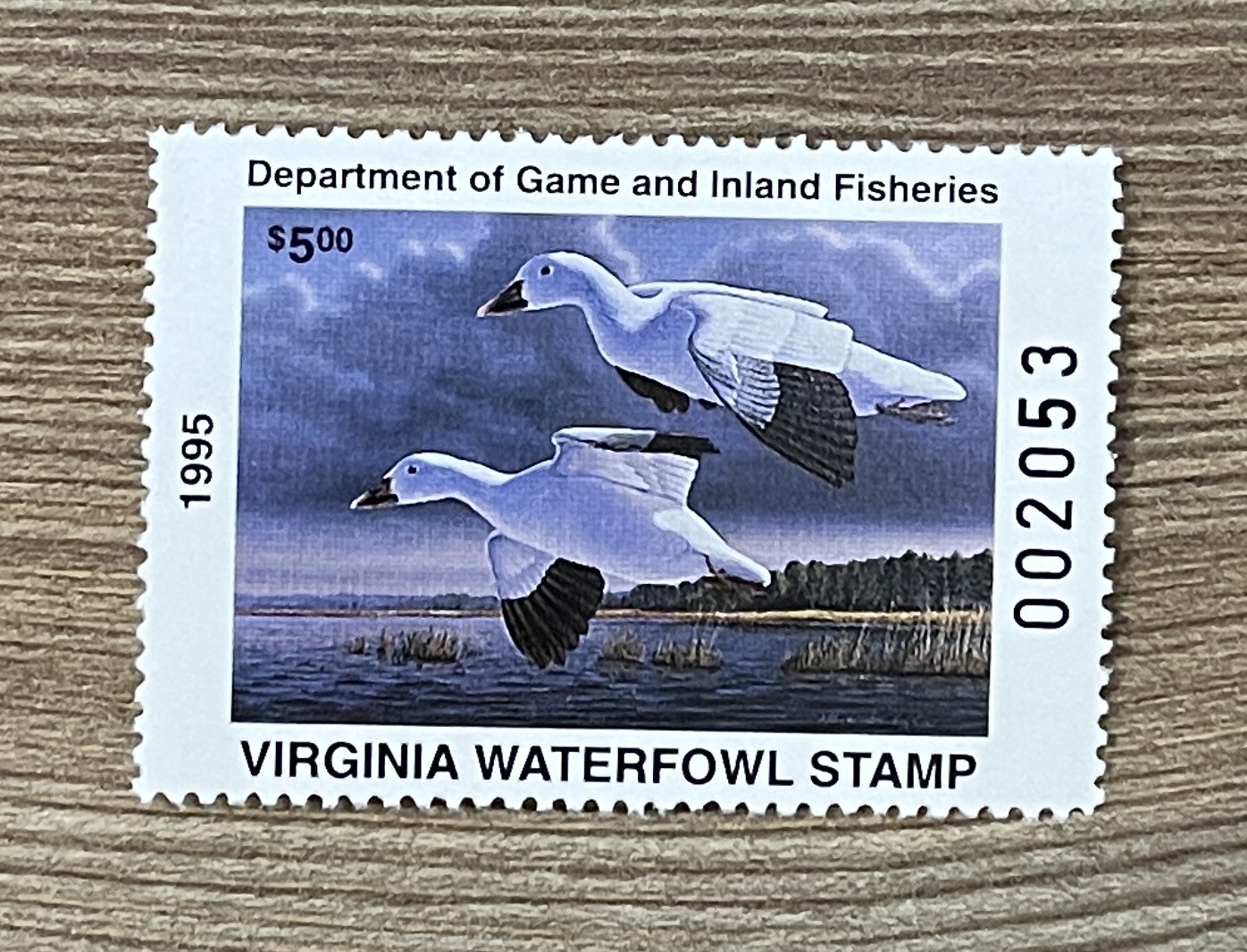 WTDstamps - 1995 VIRGINIA - State Duck Stamp - Lot1 - Mint OG NH
