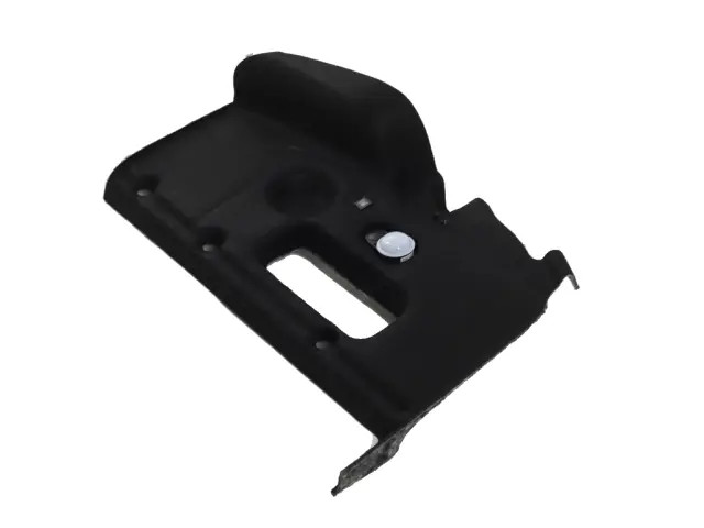 Genuine Mopar Instrument Panel Closeout Panel 7FB22XXXAA