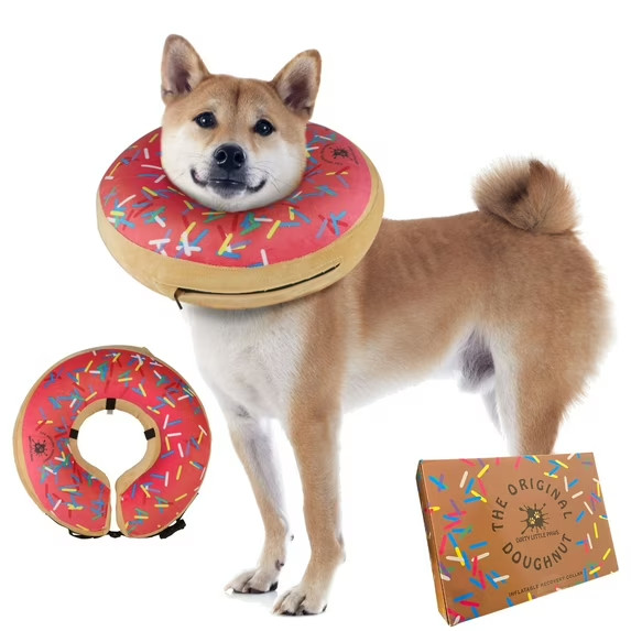 Dirty Little Paws Inflatable Dog Collar