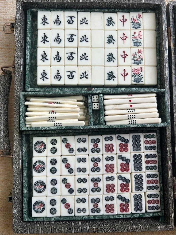 Mahjong tile set with crocodile pattern case