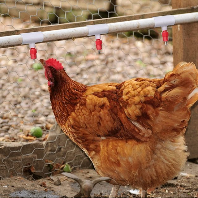 1/2" PVC Tee【12Pack】Automatic Poultry Waterer Drinker Cups Chicken Water Nipples