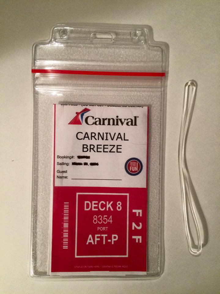 3 Heavy Duty Zip Lock Cruise Line Luggage Tag Holders Reusable Sealable Quality