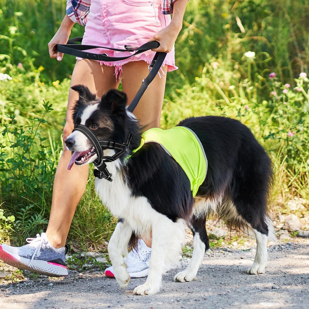 No-Pull Dog Head Halter - Adjustable Dog Muzzle Leash Padded Head Collar for ...