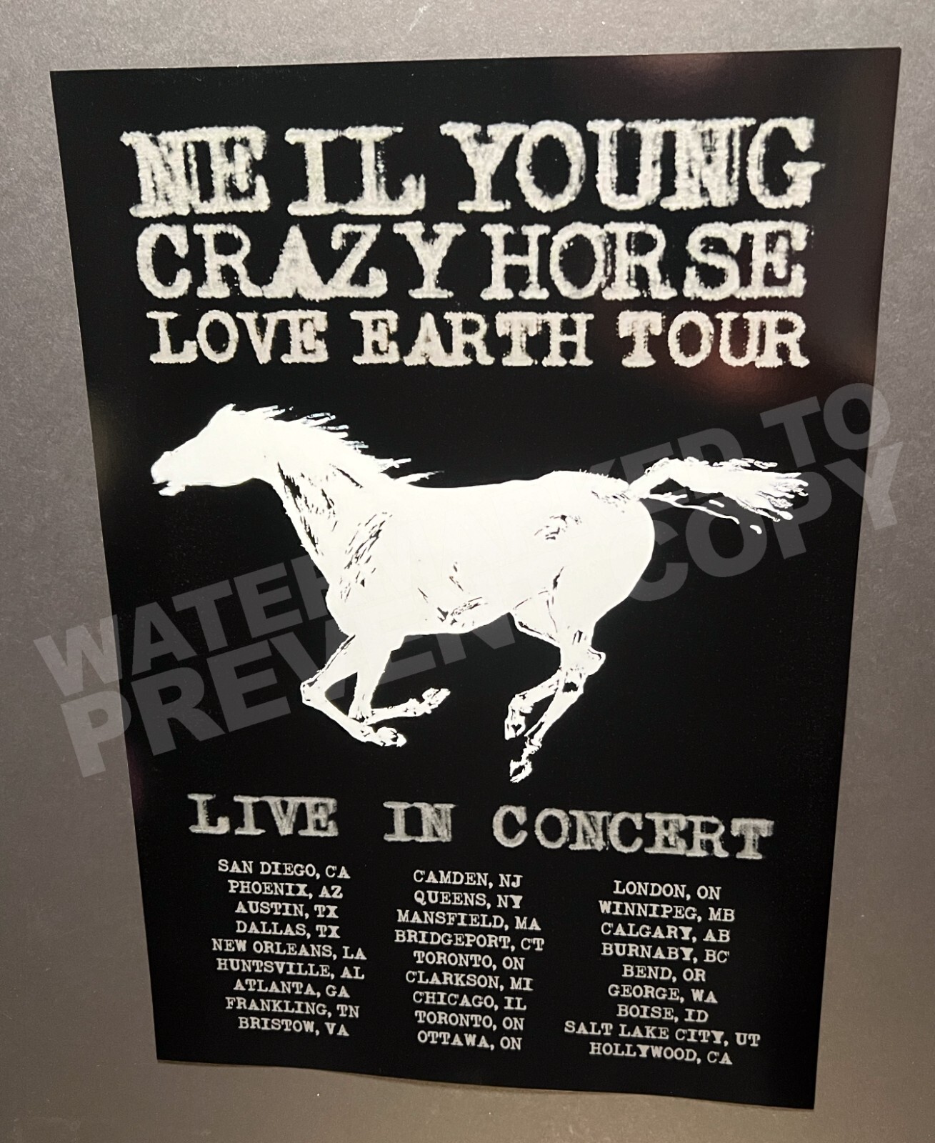 Neil Young 2024 Crazy Horse Love Earth Tour Promo Poster