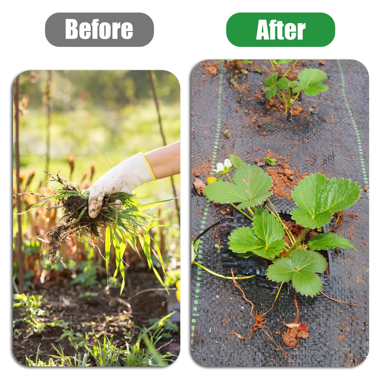 Etnorsu Weed Barrier Landscape Fabric with 3'' Planting Holes,Garden 1Pcs