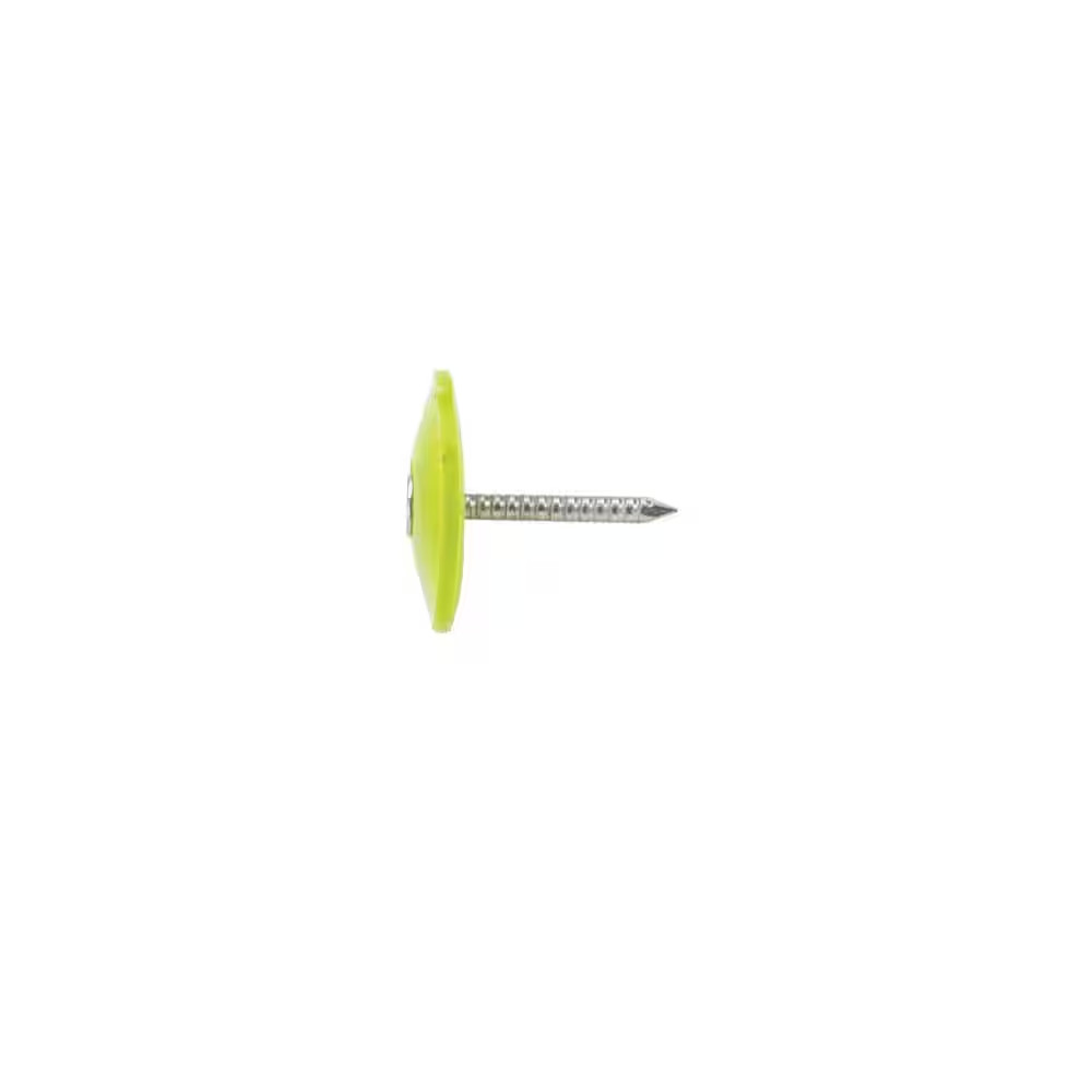 1 In. Electro Galvanized Ring Shank Nail with Plastic Cap (2000-Count)