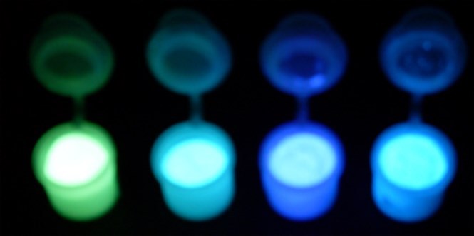 GLOW IN THE DARK POWDER solvent based Strontium Aluminate powder coat 800 deg