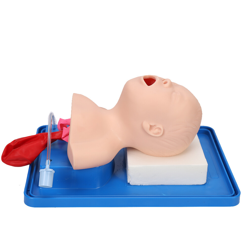 Intubation Manikin Study Baby Infant Teaching Airway Management Trainer Model
