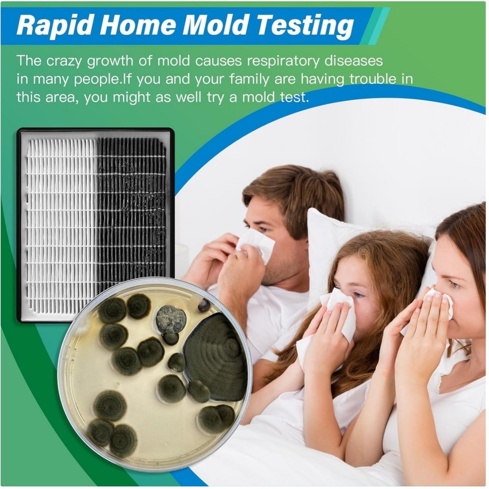 DIY Mold Detector - 12 Tests, Detailed Identification Guide