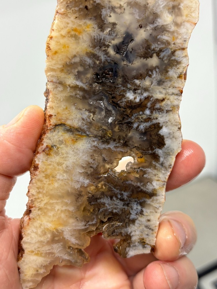 Plume Agate slab Cabbing Lapidary Combo Ship Avail Oregon
